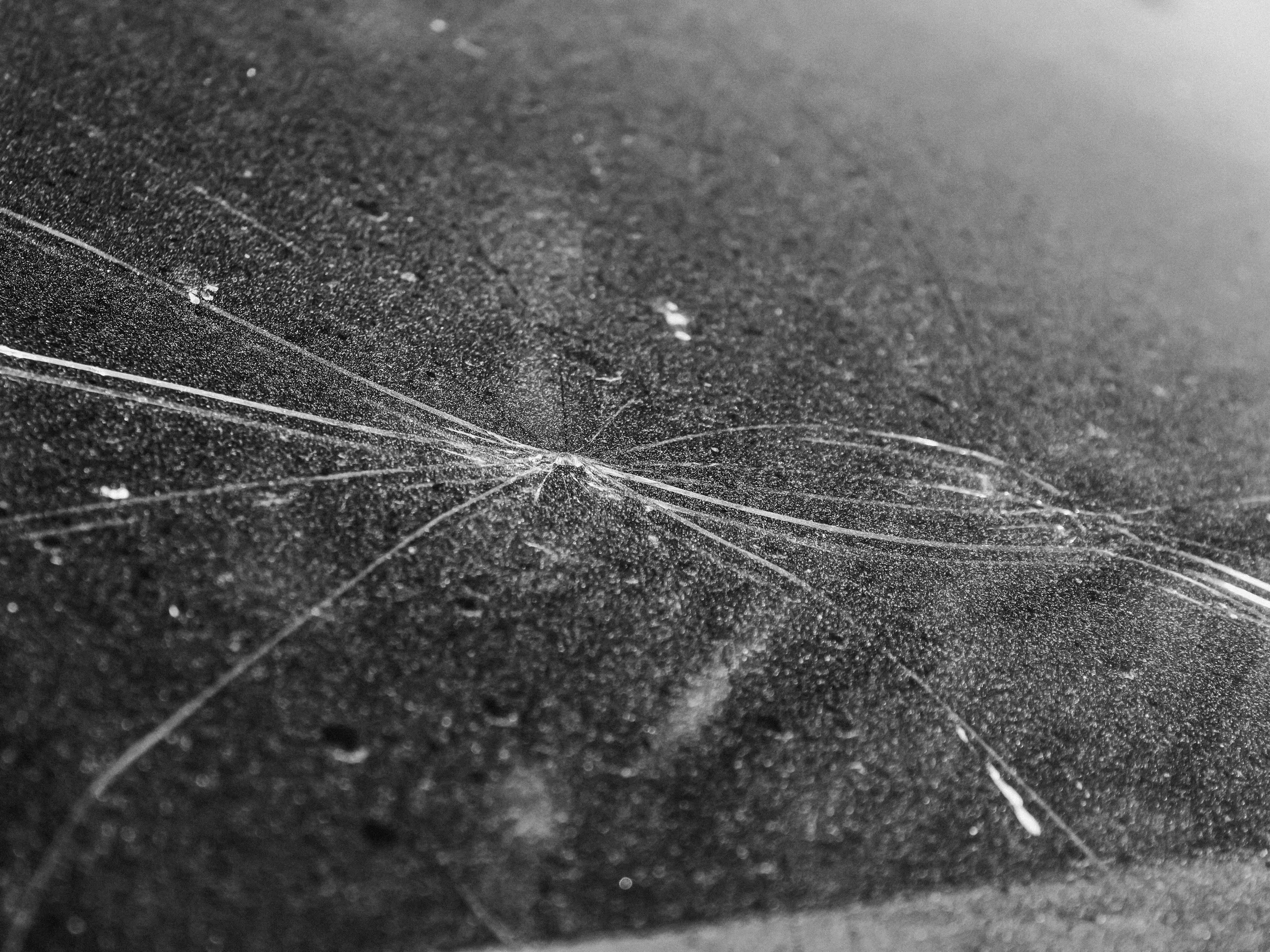 Cracked windshield being inspected for repair or replacement